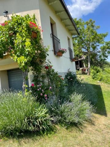 Casa Della Luna Badia Tedalda Extérieur photo